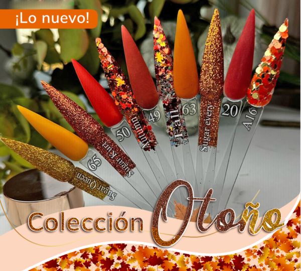 Kits Otoño (11 tonos)